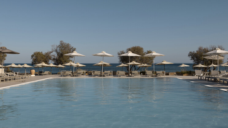 Domes Aulus Zante, Autograph Collection